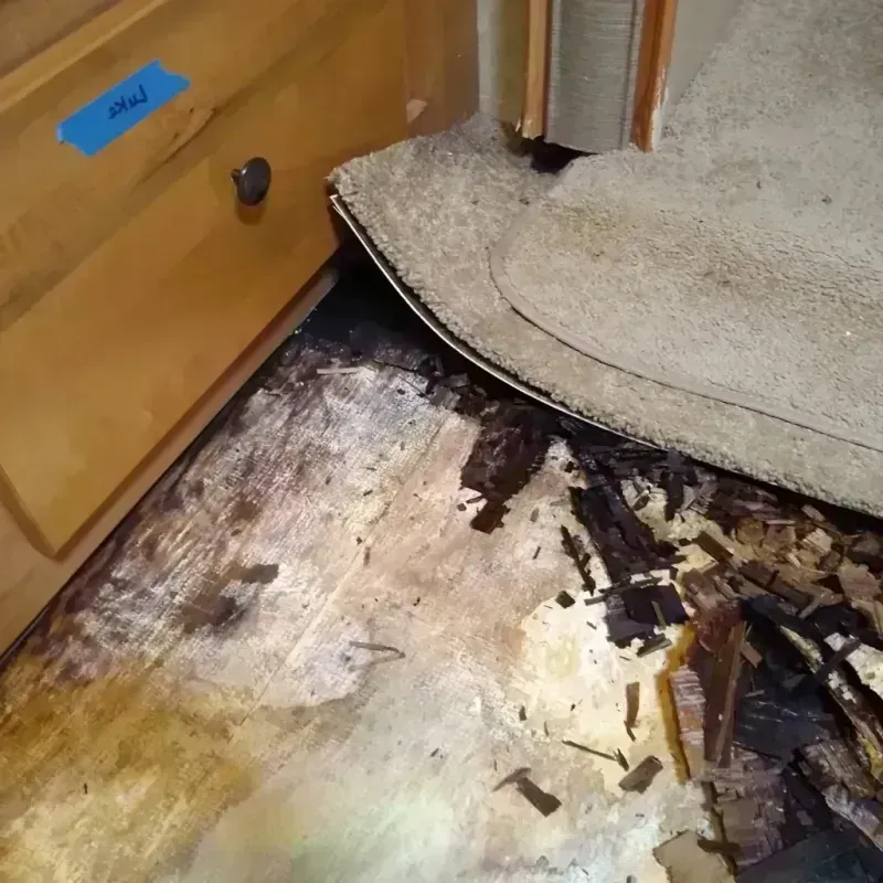 Wood Floor Water Damage in Beaver, OK